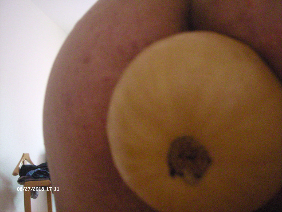 Masturbation mit ObstGemüse oder andere Gegenstände - Erotikforum -  Teufelchens Sexforum