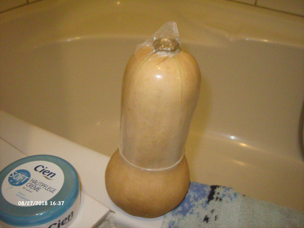 Masturbation mit ObstGemüse oder andere Gegenstände - Erotikforum -  Teufelchens Sexforum